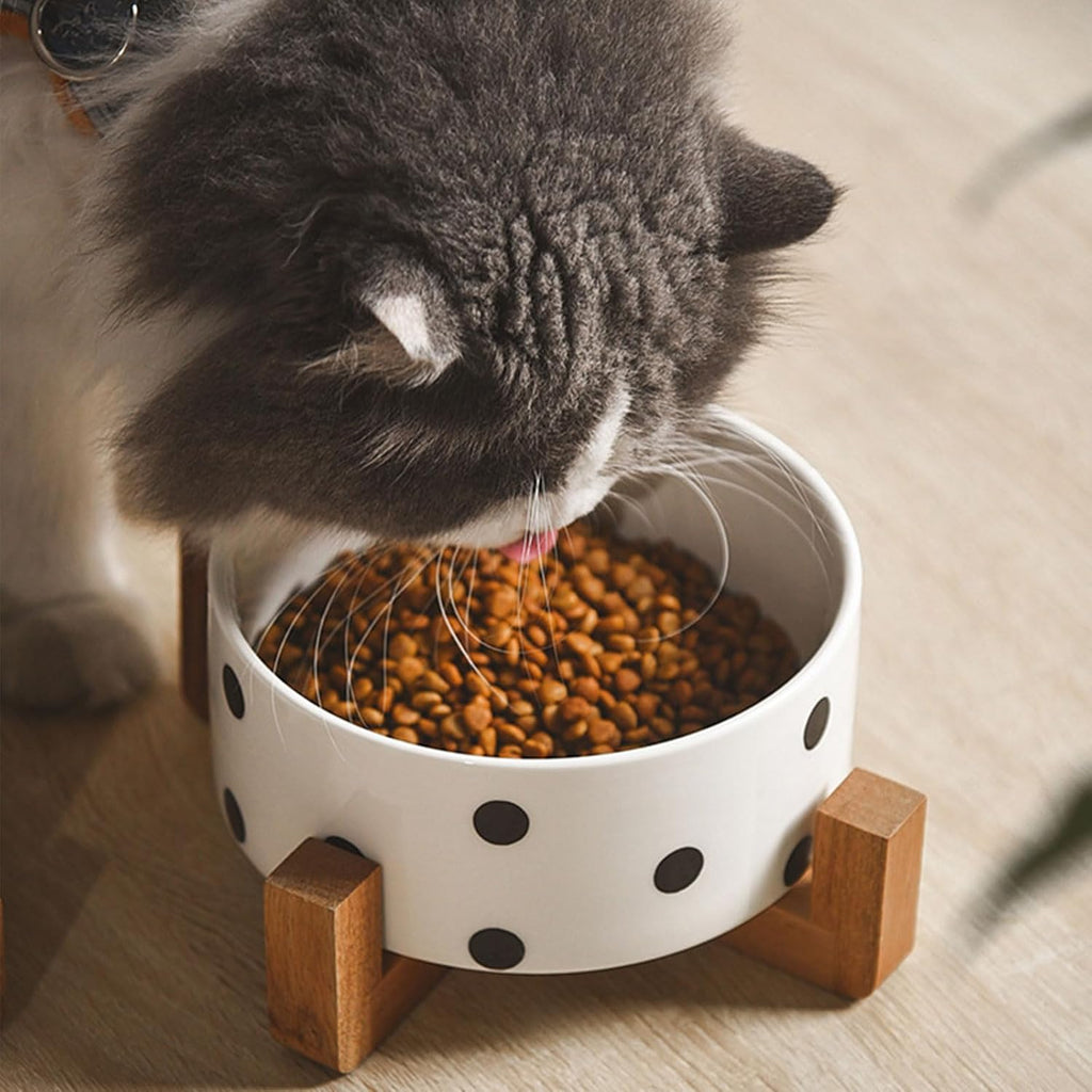 Petygooing Ceramic Dog Bowl Set with Stand  Small Pet Bowls  Anti-Slip Cat & Dog Food and Water Bowl Set (13.5OZ/5.1 in) Black Dot